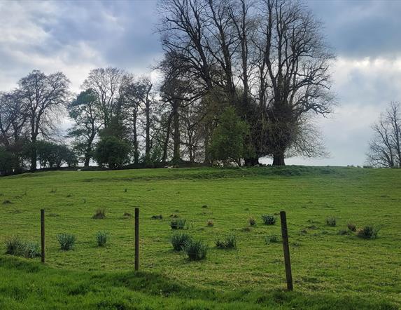 Echoes of the Ancients: A Tour of Clogher Hillfort EHOD 2025
