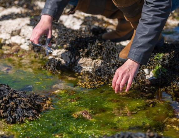 Rathlin Forage