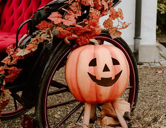 Halloween at Montalto Estate