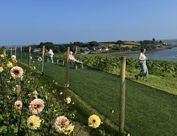 Millbank Farm Flower Fest