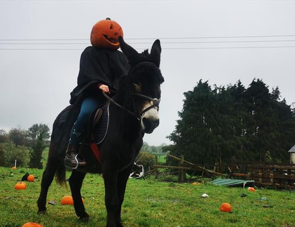 Donkey Rider with Pumpkin Head
