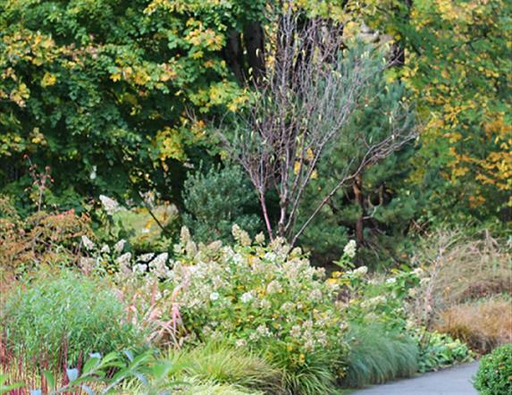 Gardens in autumn bloom