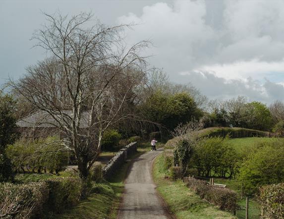 Native Tree Walk at the Ulster Folk Museum