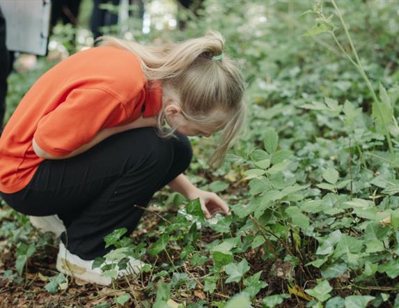 Sensory Nature Walk at the Ulster Folk Museum