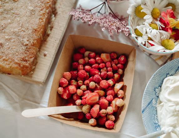 Summer foraging spread at the Ulster Folk Museum workshop