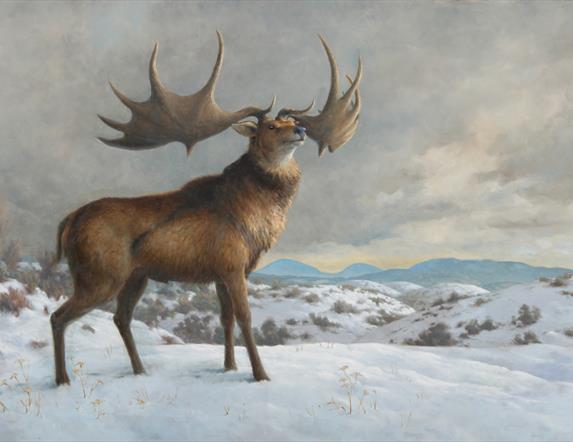A Wild Ireland painting by Julian Friers