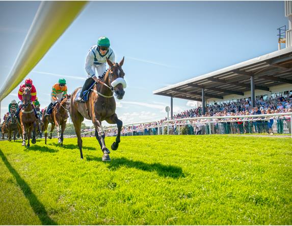 Randox Ulster National