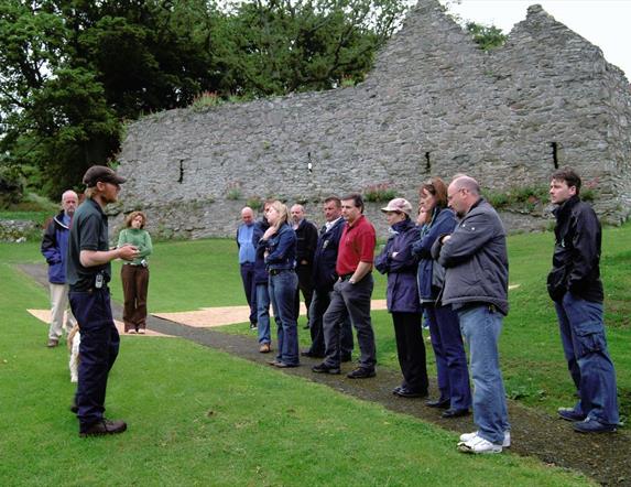 Guided Tour of Dundrum Castle