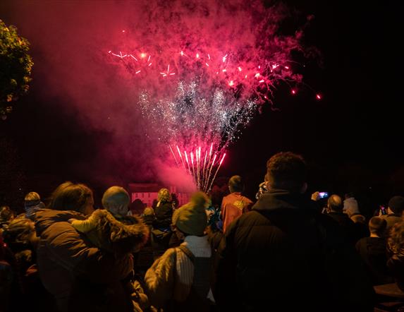 Fireworks display in front of a crowd of people