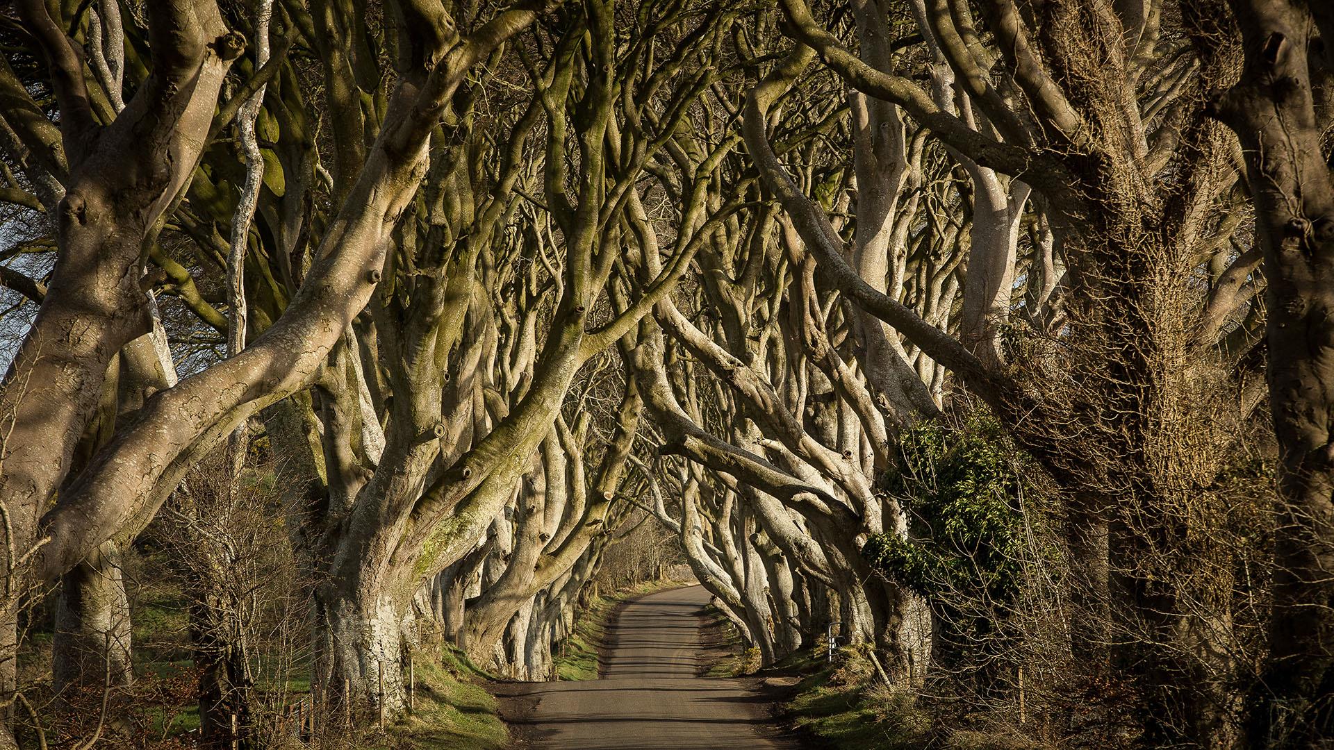 Visit Game of Thrones - Filming Locations - Discover Northern Ireland