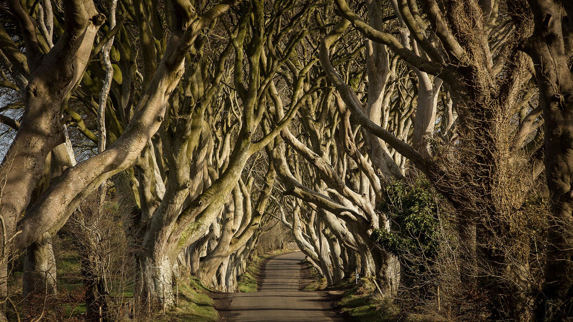 Game Of Thrones Locations Northern Ireland