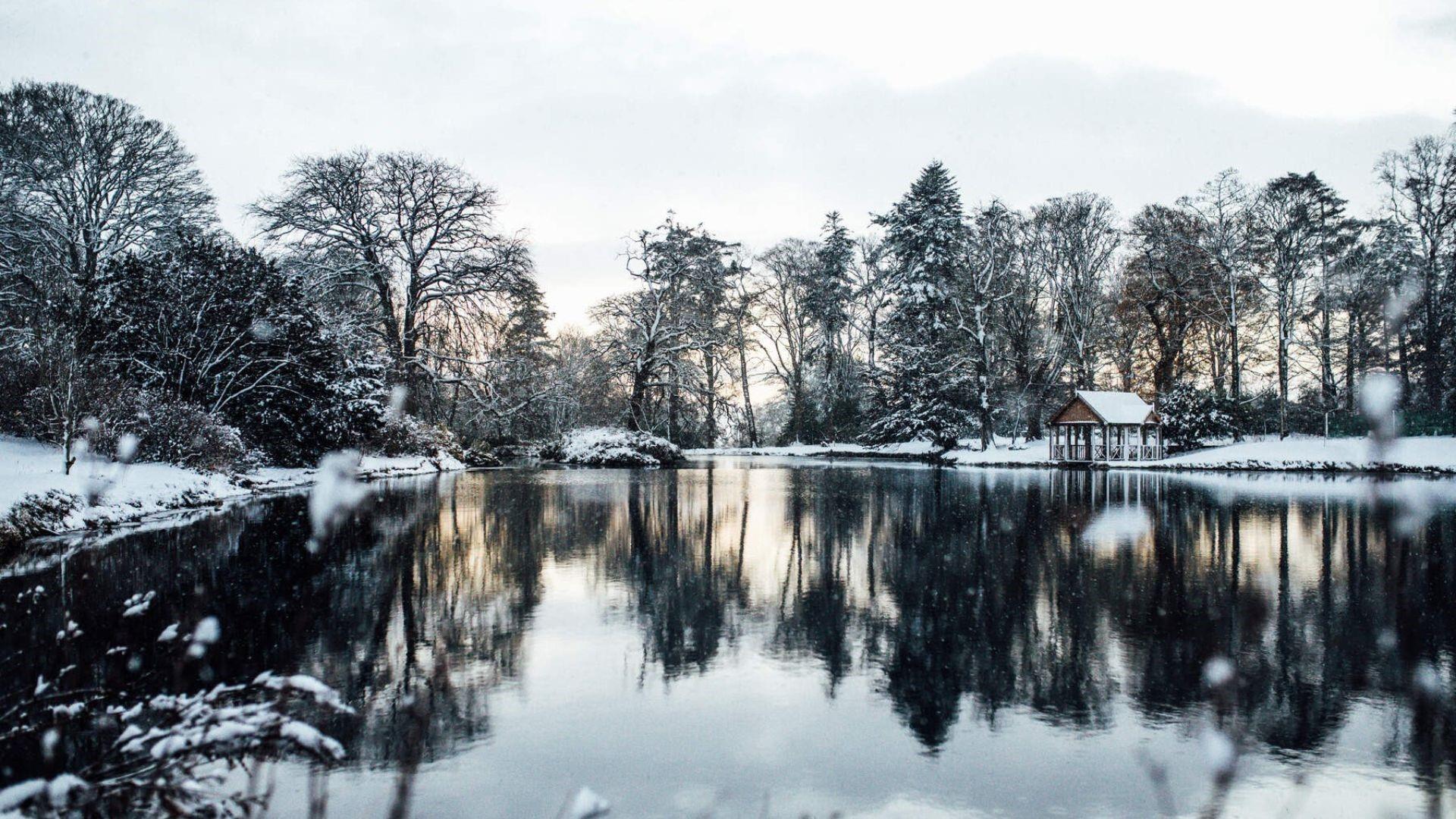 A wintery scene at the lake at Montalto, Co.Down