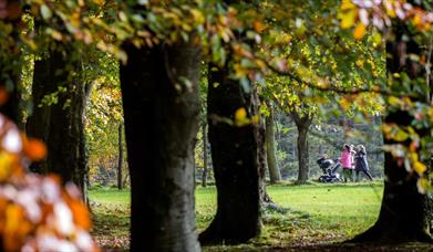 Gosford Forest Park
