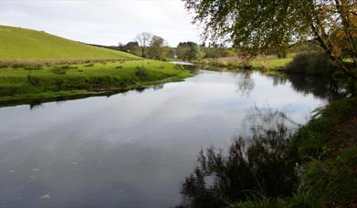 Game Fishing On The Foyle System