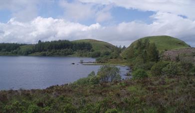 Carrigan Forest: Lough Formal Walk