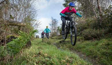 Castlewellan Mountain Bike Trails
