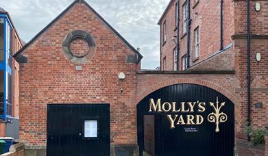 Molly's Yard