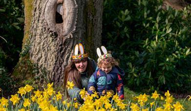 Easter Egg Hunt at Rowallane Garden