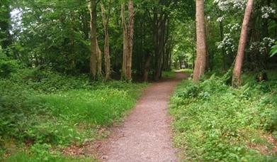 Clandeboye Way – Helen’s Bay to Whitespots Country Park