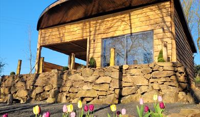 Luxury Glamping Cabin