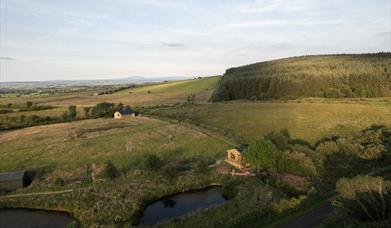 Aerial image of The Bothans - two cabins and a lake on a forest edge.