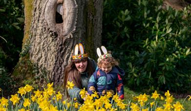 Easter tat Mount stewart