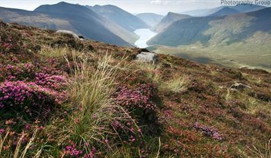 Central Mournes