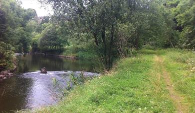 Benburb Valley Park