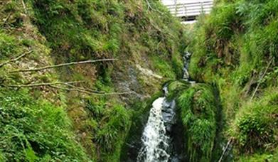 Gortin Forest Nature Trail