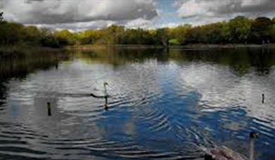 Donaghaguy Reservoir