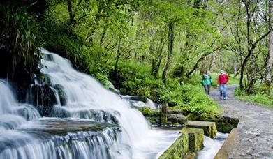 Cladagh Glen 