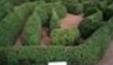 View of the maze at Carnfunnock