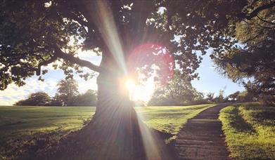 Barnett Demesne