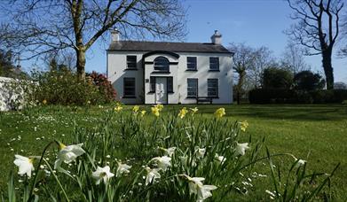 Image shows front of property with large lawn and daffodils in the foreground