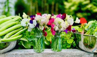 Seasonal Cooking Class at Wee Buns Cookery School