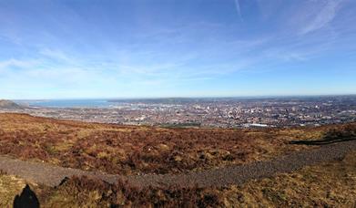 Divis Ridge Trail