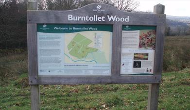 Burntollet Wood