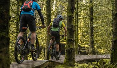 Electric Mountain Biking on the Rostrevor Red Trail – Bike Mourne