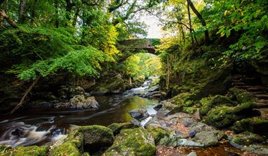 Roe Valley Country Park