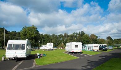 Caravans and cars parked in lots in a grassy area.