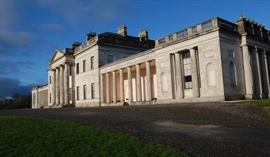 Castle Coole - Beech Trail