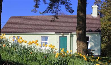Rostrevor Holidays - The Ceili House