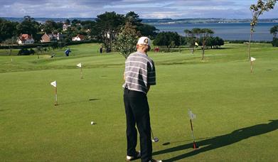 Golfer on the course