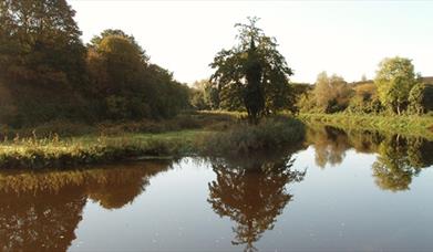Lagan Towpath