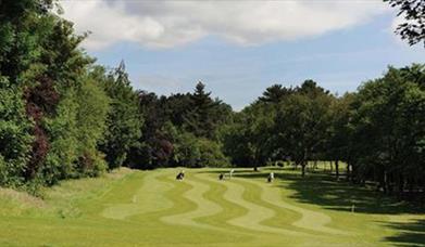 Image is of a golf course with players in the distance