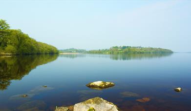 Castle Archdale Forest Walk