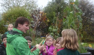 Nature and Foraging Tours with HartyCulture