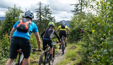 Electric Mountain Biking on the Castlewellan Red Trail – Bike Mourne