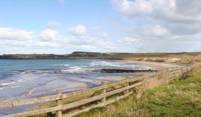 Portballintrae Causeway Loop