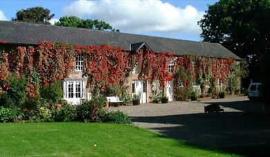 Jenny Bristow Cookery School Experience